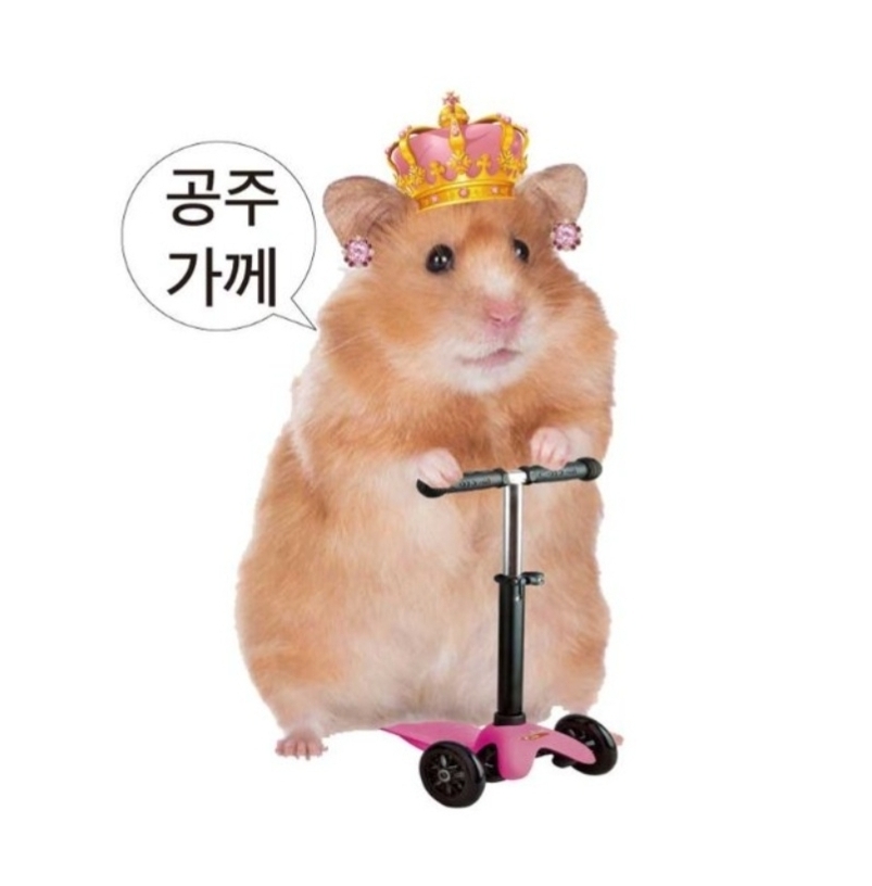 라이크잇디자인 이미지