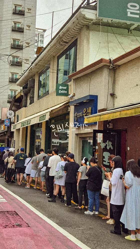 브레드10 이미지