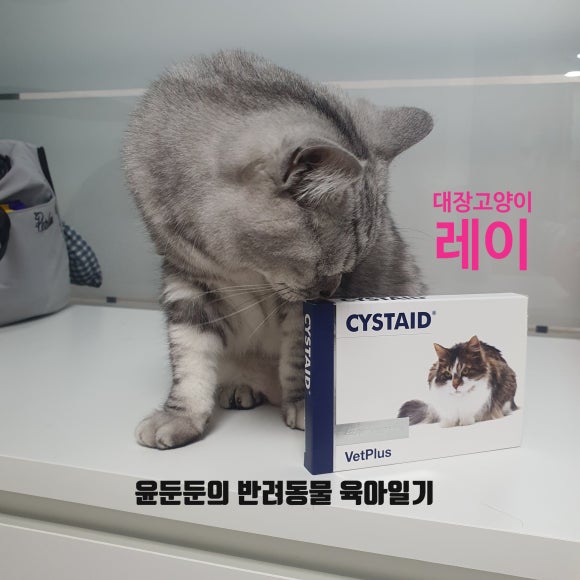플러스씨스 이미지