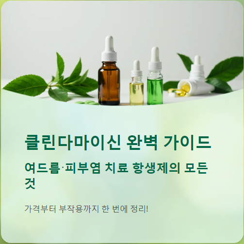 클린다 이미지