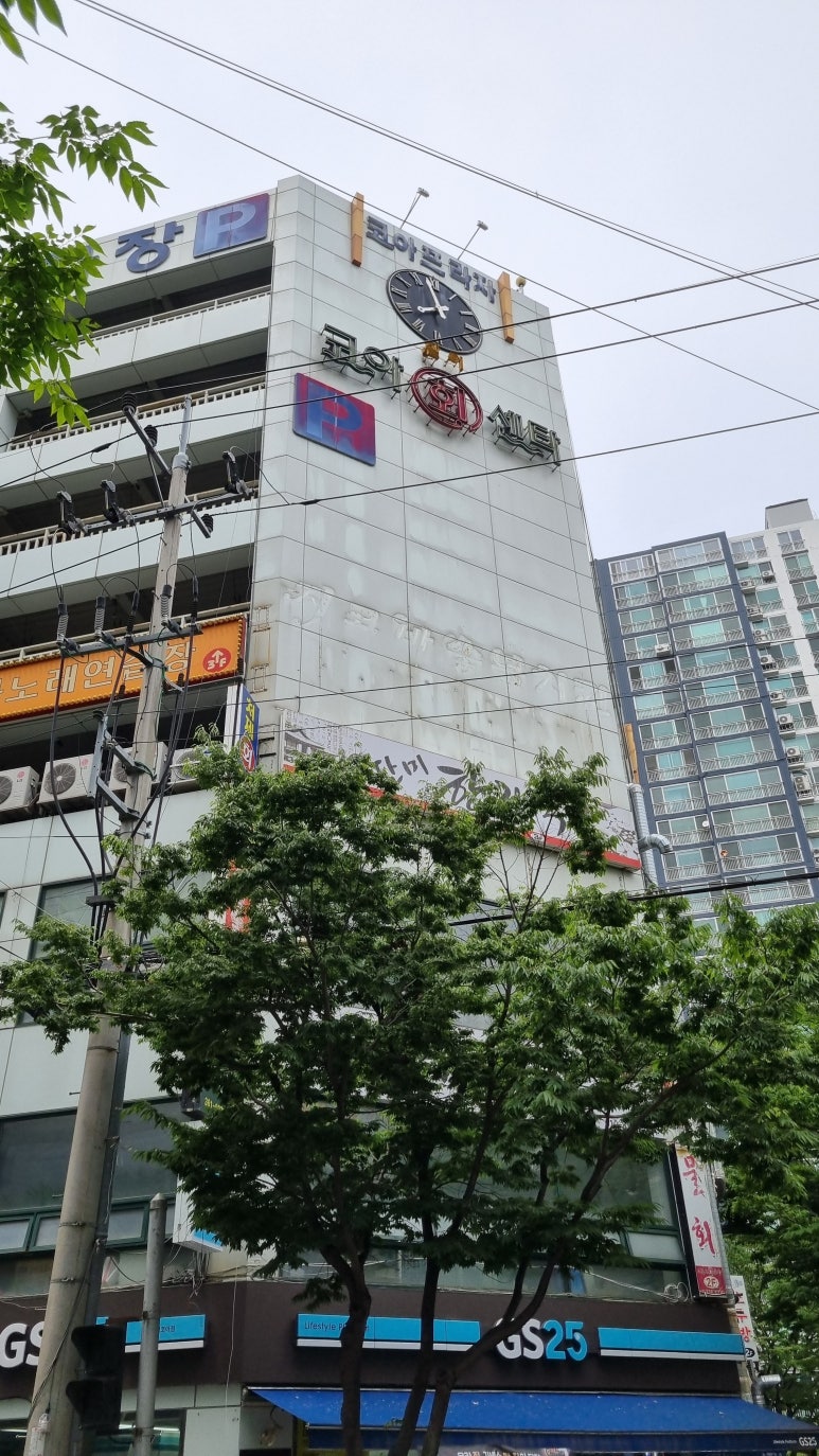 떴다왕손짜장 이미지