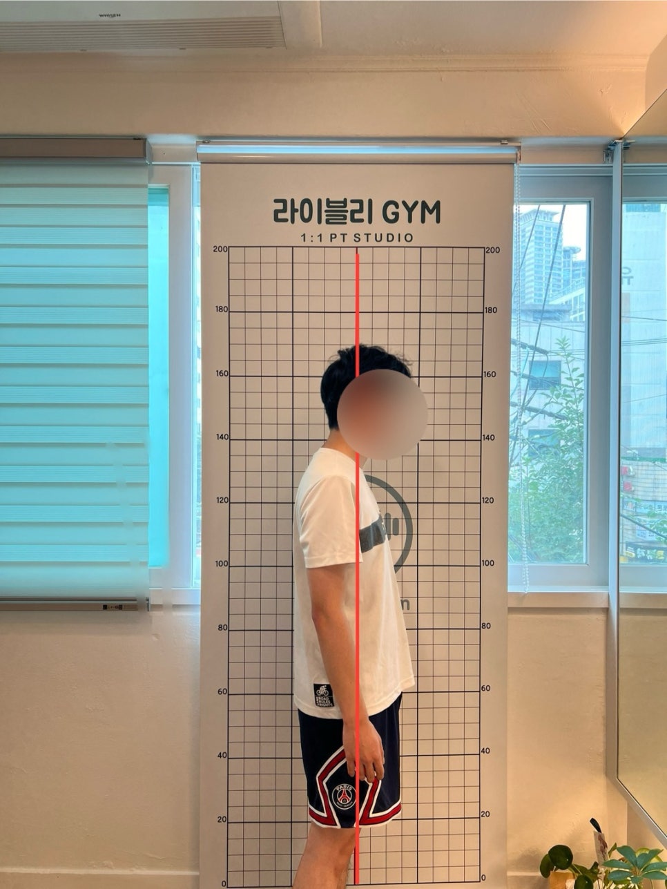 라이블리짐 이미지