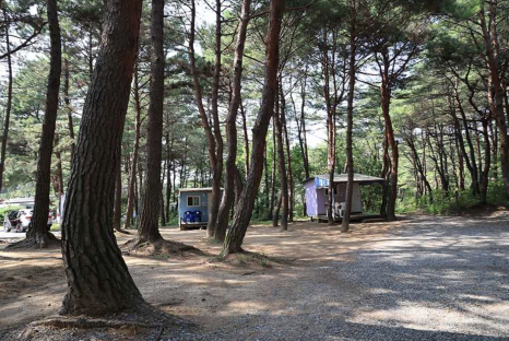 양양 솔바다 캠핑장 이미지