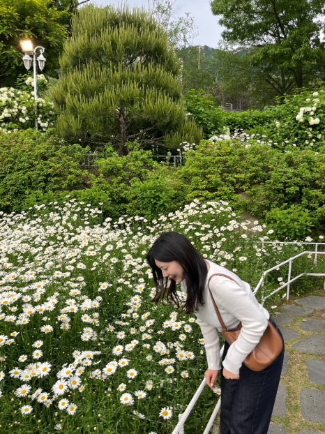 영순호 이미지
