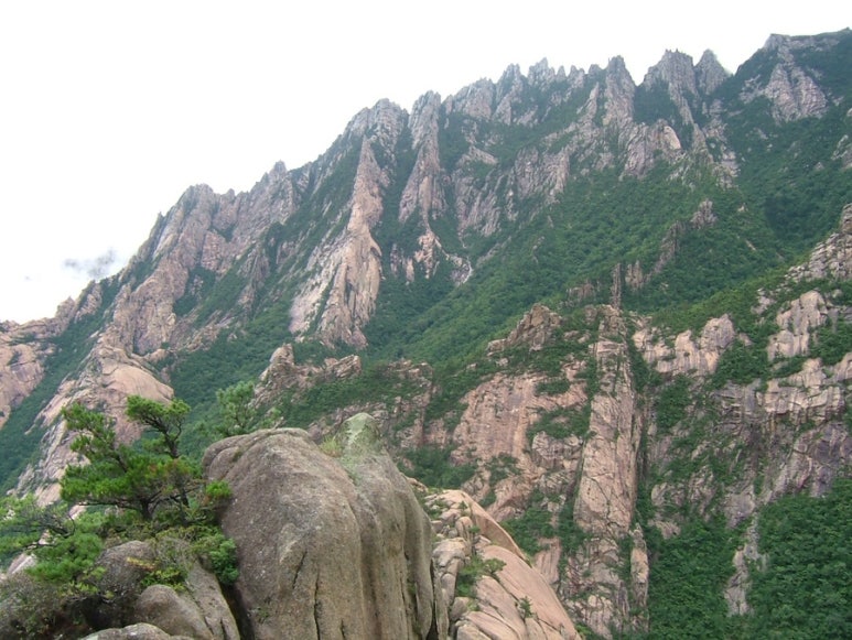 금강산에 이미지