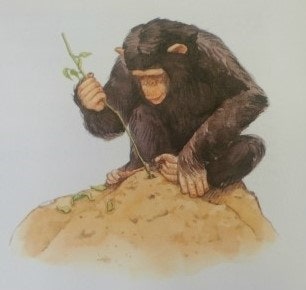 상상의문 이미지