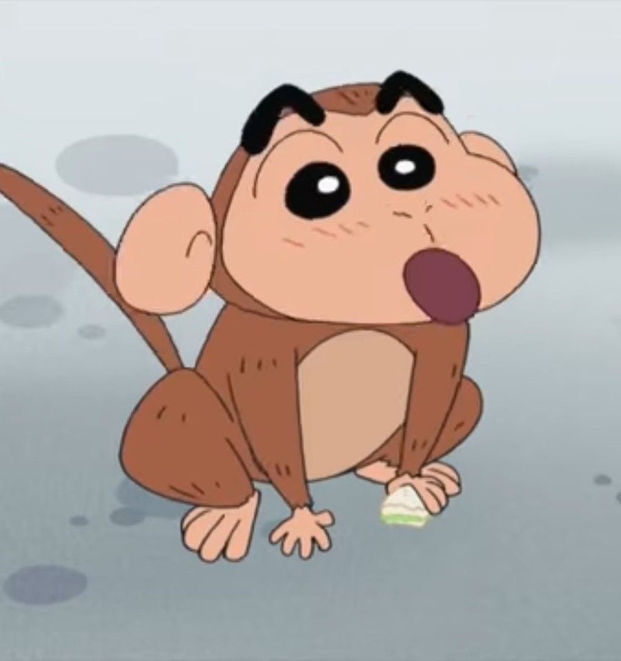 사오 이미지