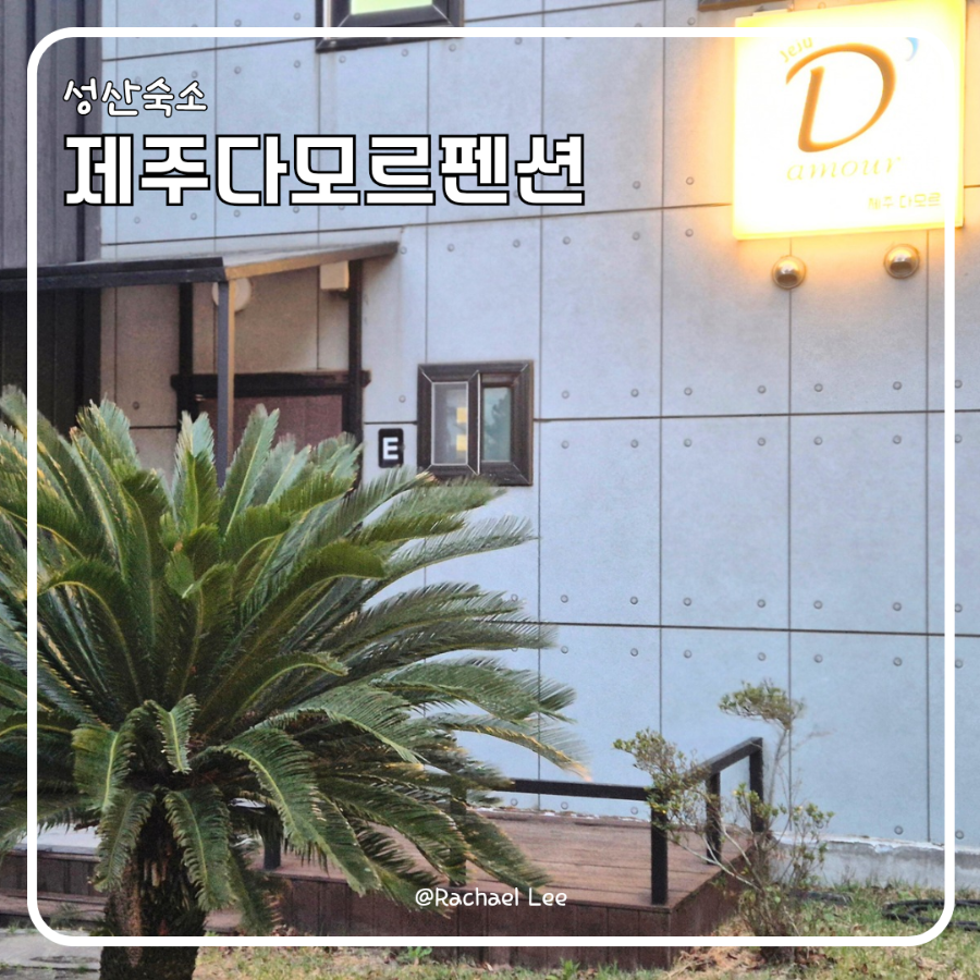 제주다모르 이미지
