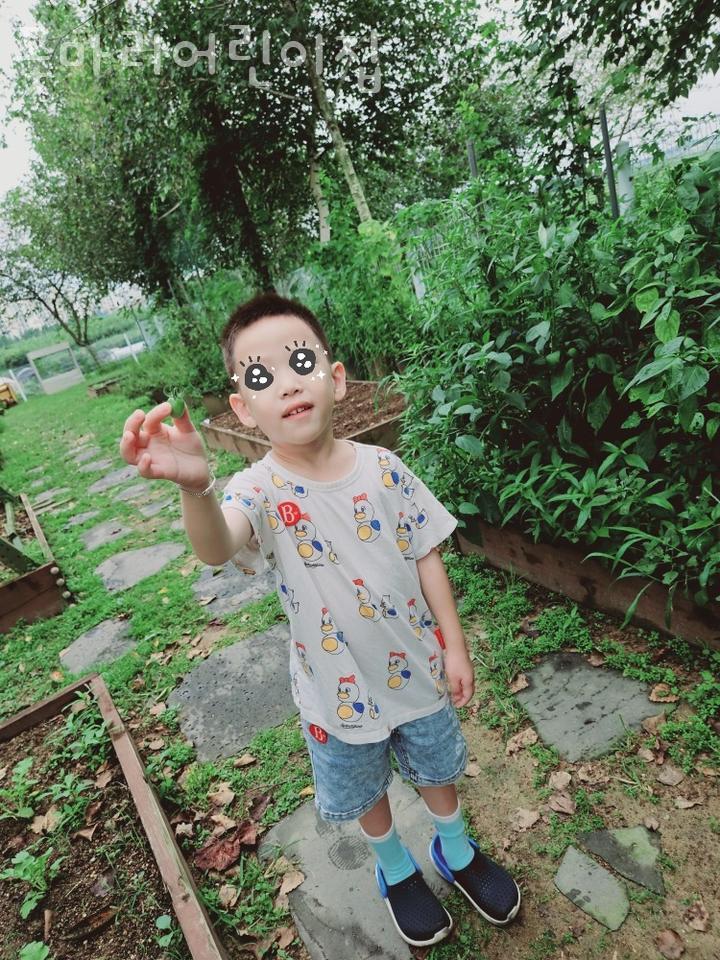꽃마리어린이집 이미지