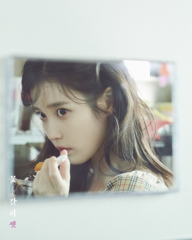꽃갈피 이미지