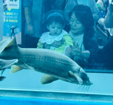 거진어린이집 이미지