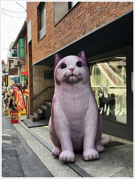 근처고깃집 이미지