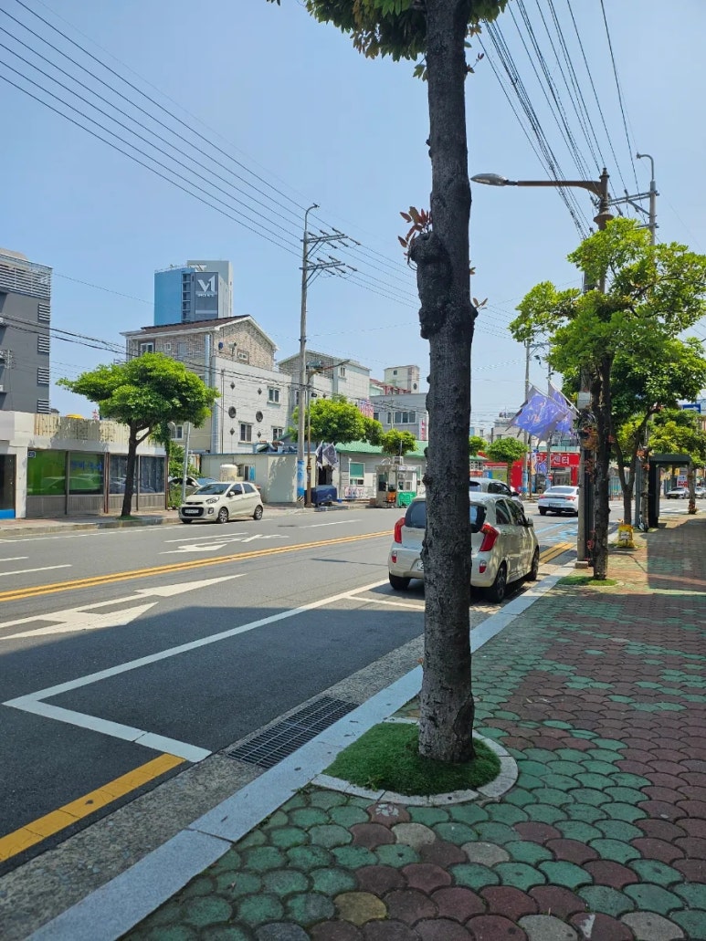 킴스뷰티버스 이미지