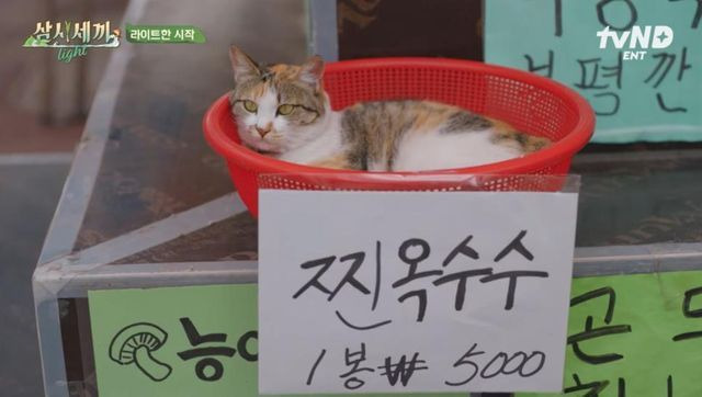 (주)바요 이미지