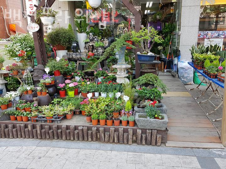 백천플라워샵 이미지