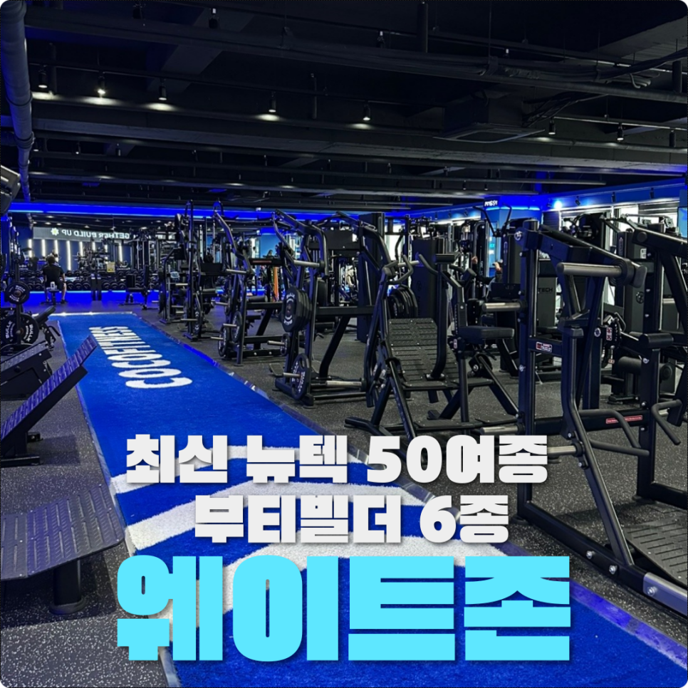 코코세미 이미지