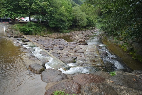 단양부엉이펜션 이미지