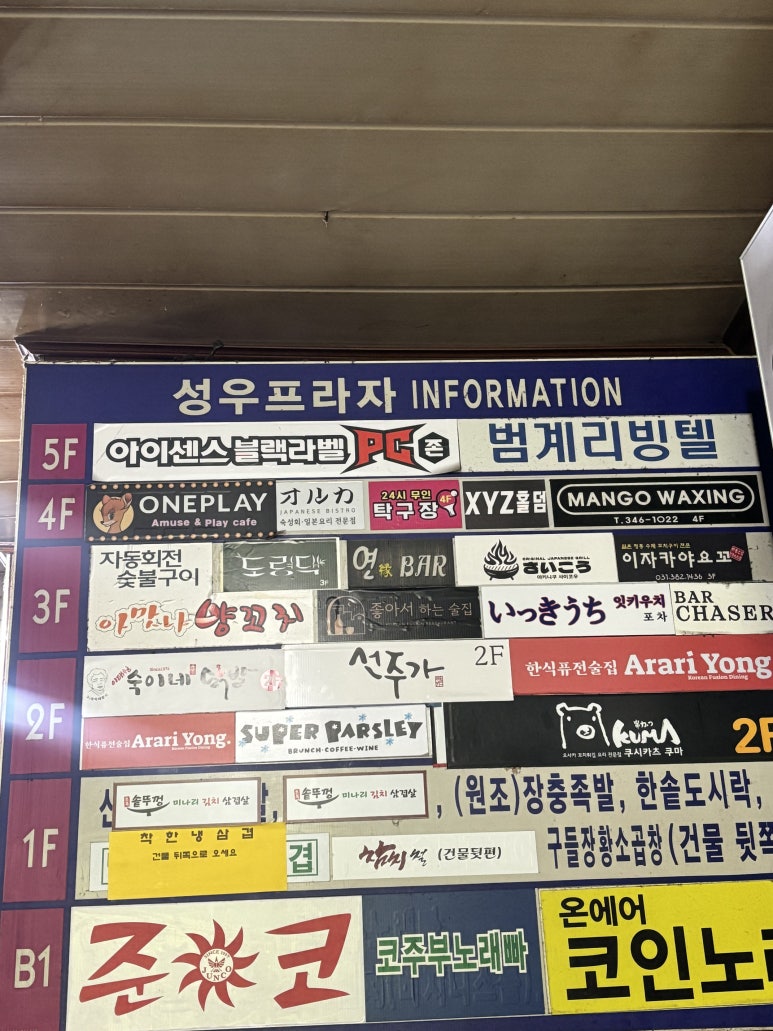 망고준코 이미지