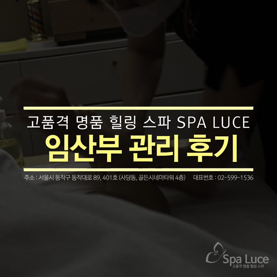스파루체 이미지