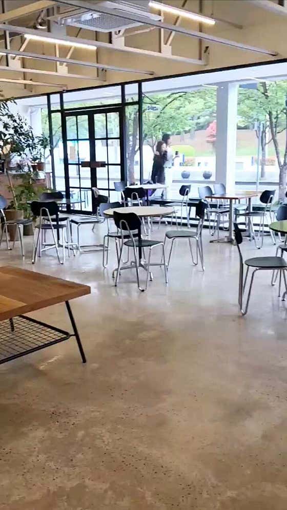 샬로우커피울산 이미지