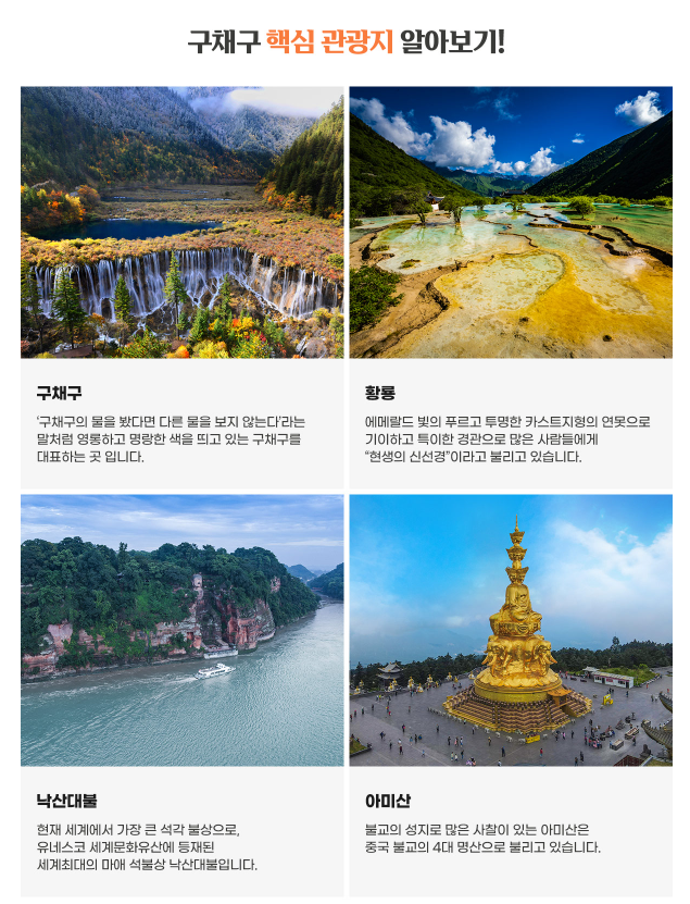 엠에스투어 이미지