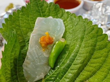 회짱 이미지