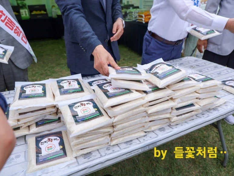 나주홍어 이미지