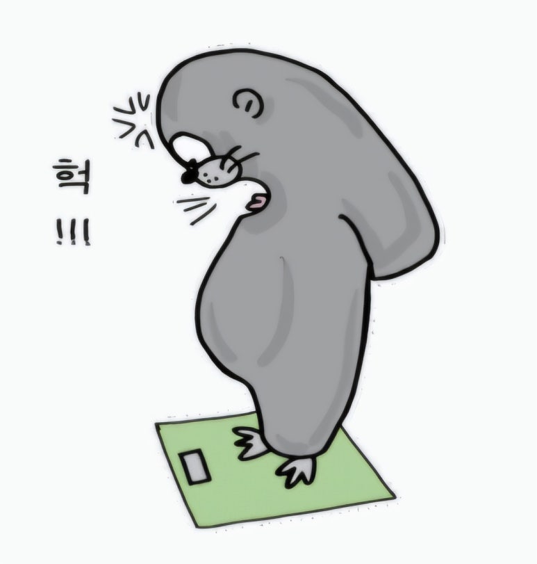 탐스짐 이미지