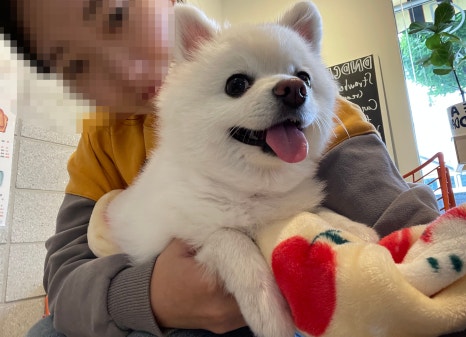 디앤디케이크 이미지