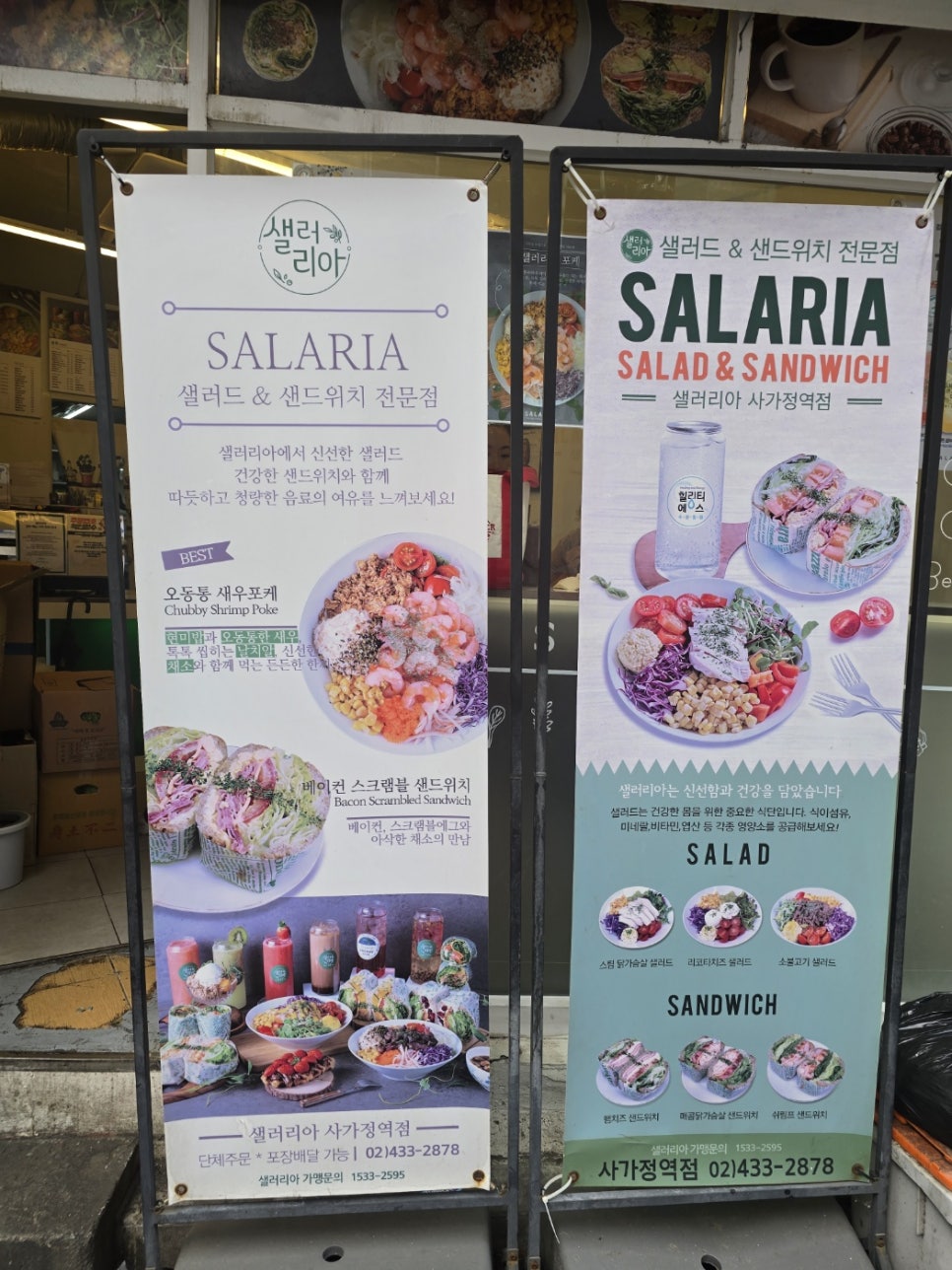샐러리아 이미지