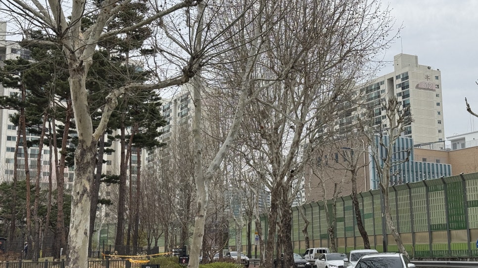 목동정비센타 이미지