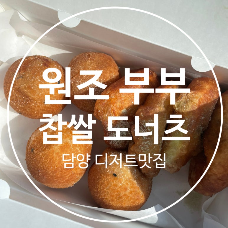 메타381 이미지