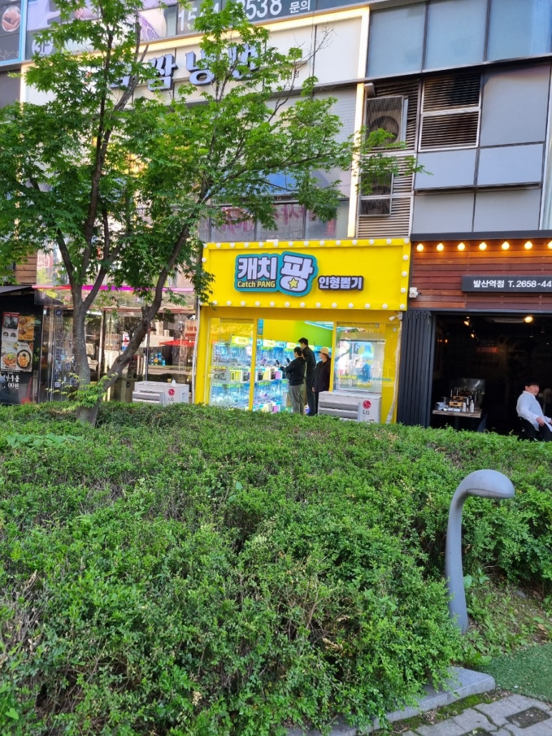 캐치팡 이미지