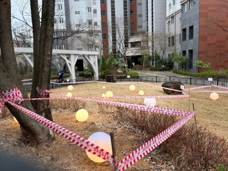설전기조명 이미지