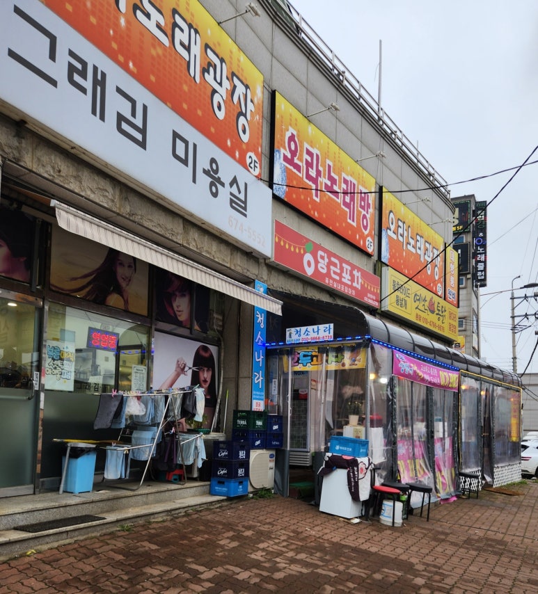이가꽈배기 이미지