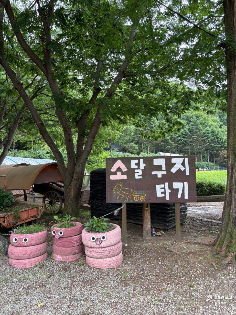 달구지농원 이미지