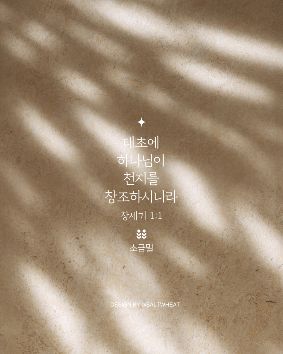 디자인태초에 이미지