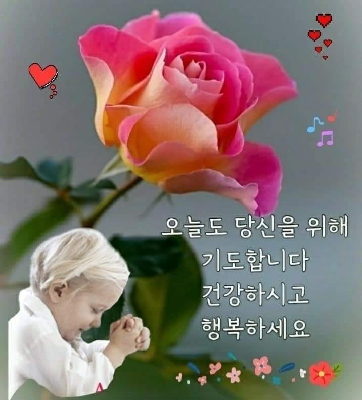 행복꽃 이미지