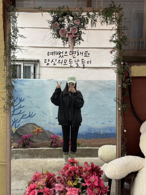오토리스시 이미지