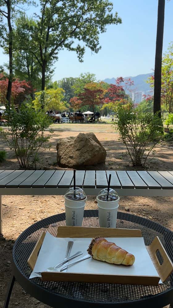 파크프리베 이미지