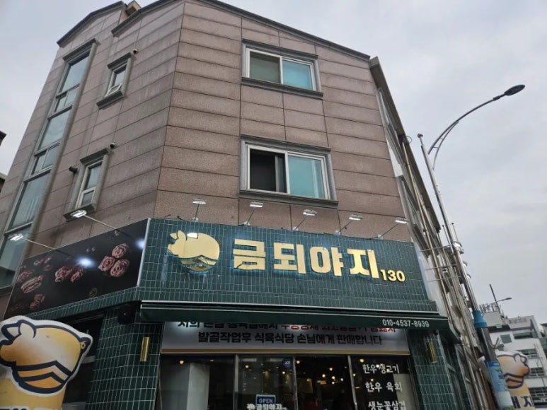 금되야지 이미지