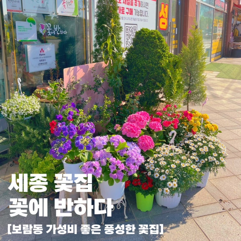 온누리꽃집 이미지
