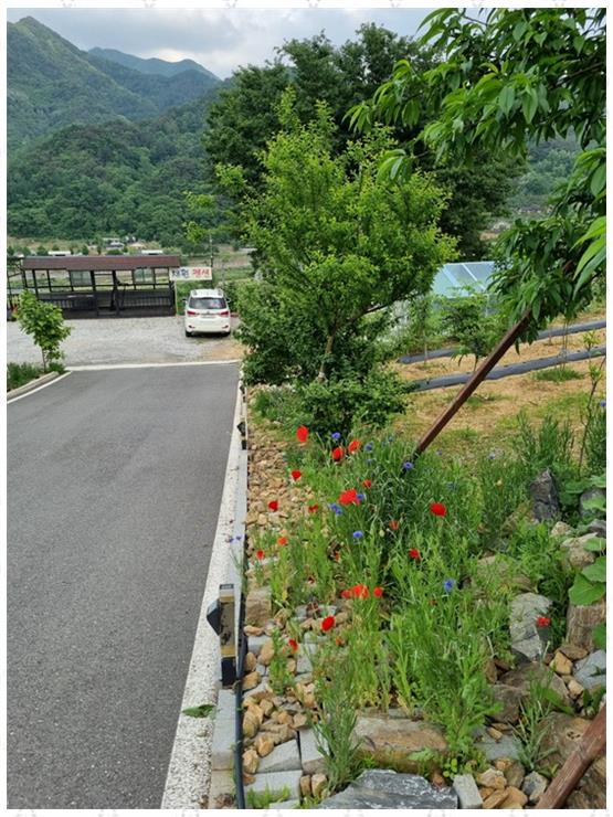 단양채훤펜션 이미지