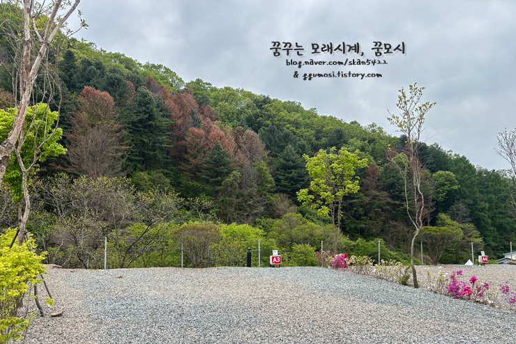 우니메이카 이미지
