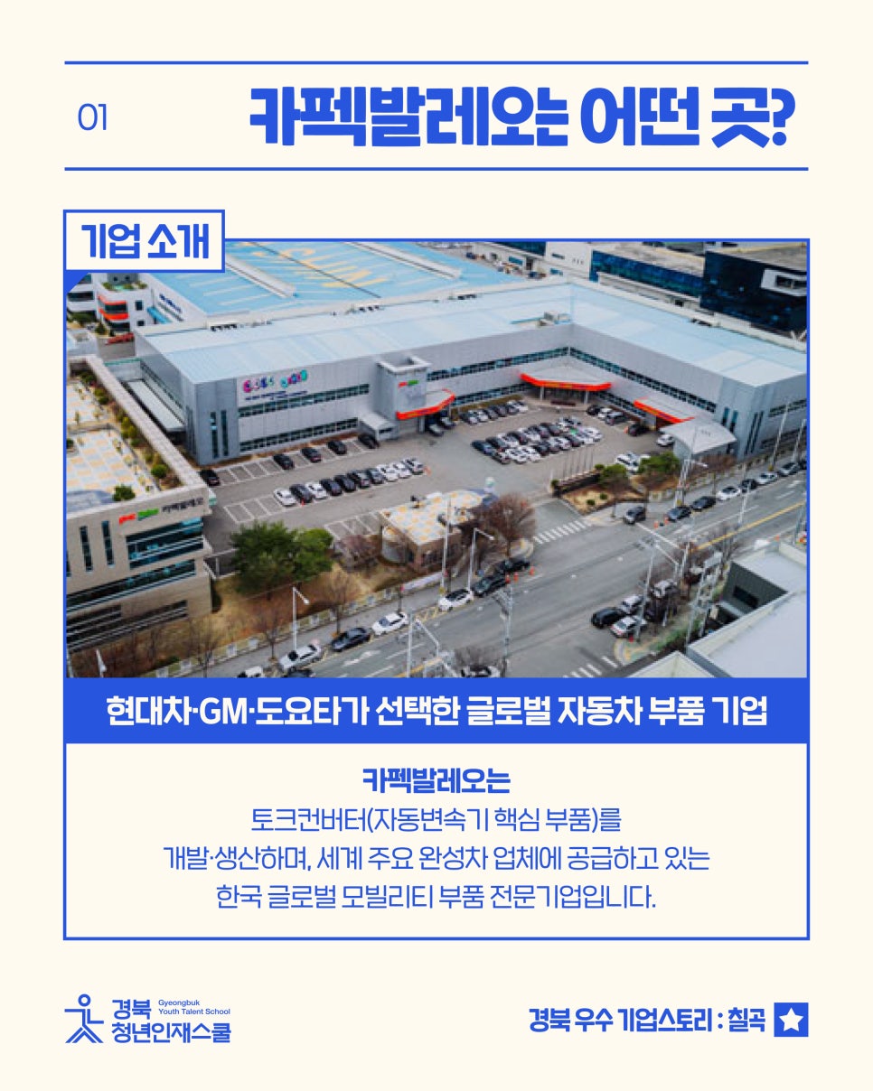 (주)카펙발레오 이미지
