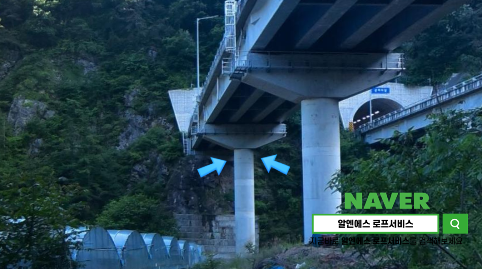 알엔에스 이미지