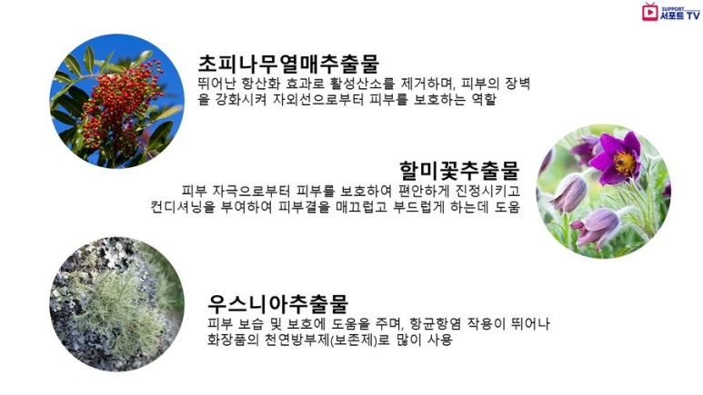더블유오케이 이미지