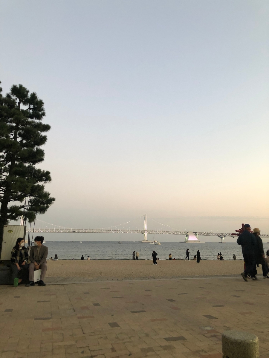 다래분식 이미지
