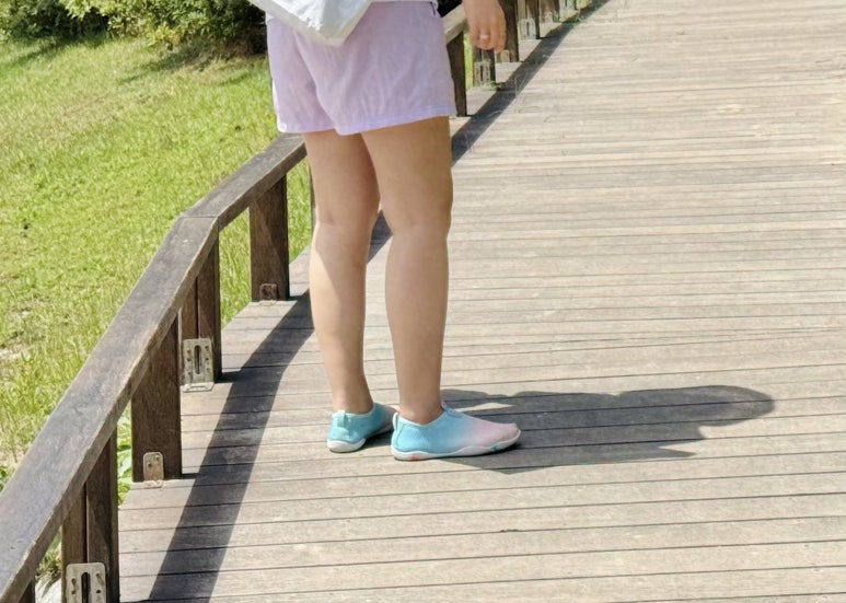 타오파크 이미지