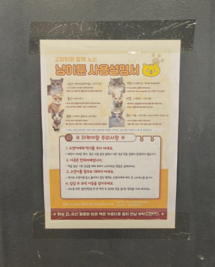 냥이툰 이미지